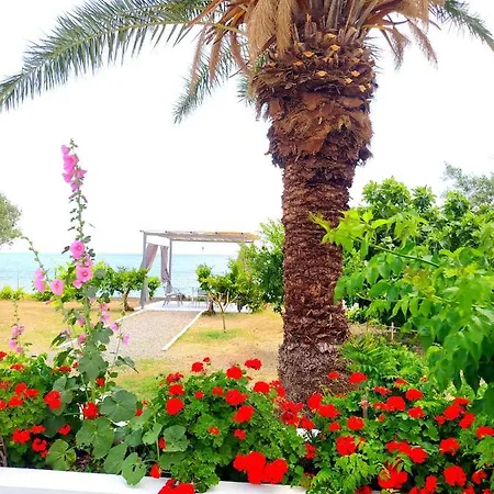 Stella Family House 別荘