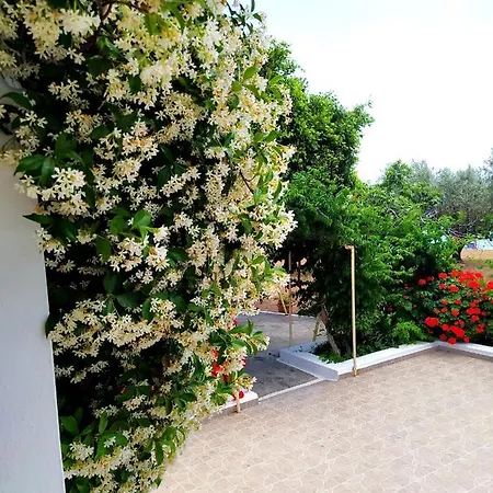 Stella Family House Pefki (Rhodes)