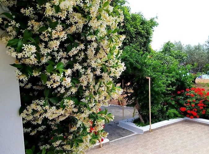 Stella Family House Pefki